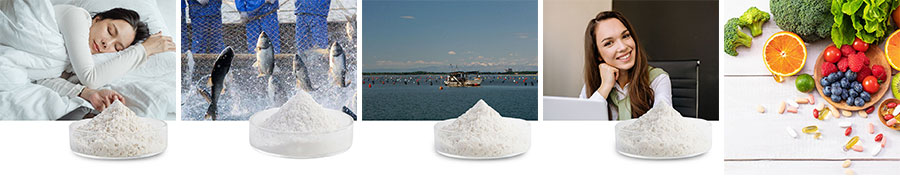Melatonin supplier Yangge Biotech Melatonin supplier Yangge Biotech